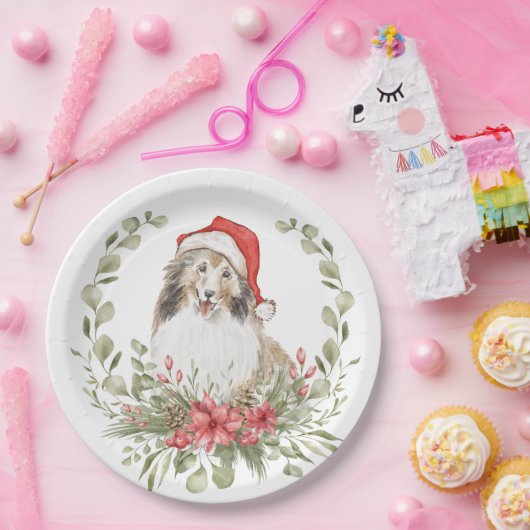 Schutzeinrichtungen in einer Weihnachtsmannmütze Pappteller (Party)