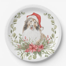 Schutzeinrichtungen in einer Weihnachtsmannmütze Pappteller