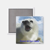 Schützen Sie alle HarfenSiegel! Niedlich Wildlife Magnet (Vorderseite/Rückseite)