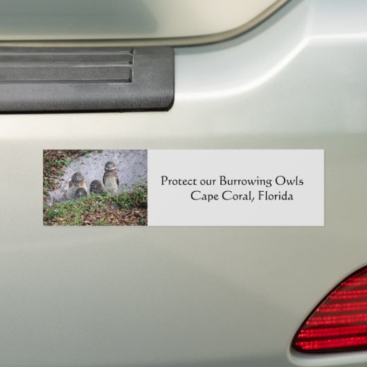 Schützen Sie Burrowing Owls Autoaufkleber (Auf Auto)