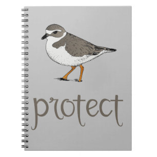 Schützen Sie den Piping Plover-Vogel Notizblock