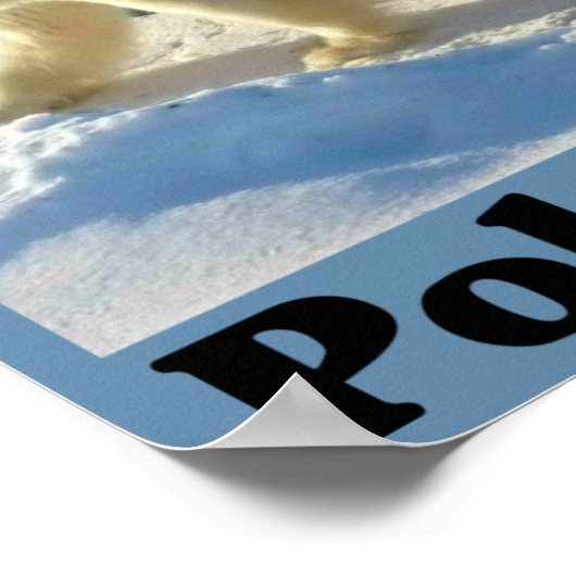 Schützen Sie den Polarbär Poster (Ecke)
