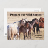 Schützen Sie unsere Wildpferde Postkarte (Vorne/Hinten)