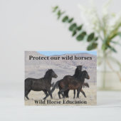 Schützen Sie unsere Wildpferde Postkarte (Stehend Vorderseite)