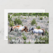 Schützen Sie unsere Wildpferde Postkarte (Vorne/Hinten)