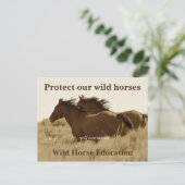 Schützen Sie unsere Wildpferde Postkarte (Stehend Vorderseite)