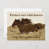 Schützen Sie unsere Wildpferde Postkarte (Vorne/Hinten)