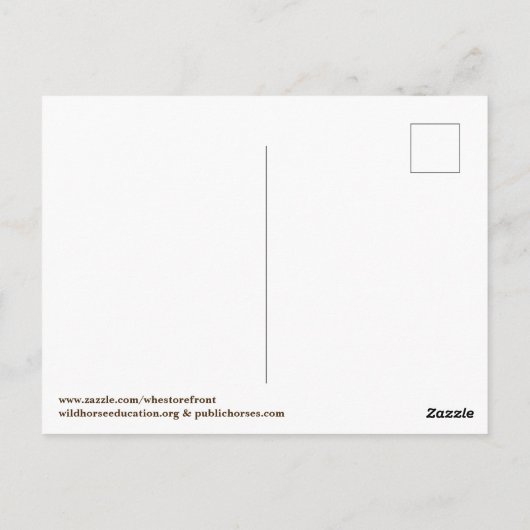 Schützen Sie unsere Wildpferde Postkarte (Rückseite)