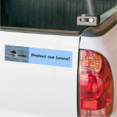 Schützen Sie unseren Loons-Autoaufkleber Autoaufkleber (Auf Lkw)