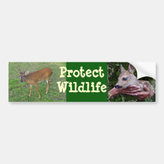 Schützen Sie wild lebende Tiere Autoaufkleber