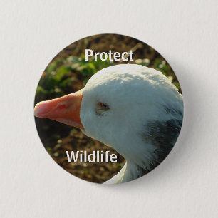 Schützen Sie wild lebende Tiere Button
