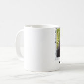 Schützen Sie wilde Katzen Kaffeetasse (Vorderseite Links)