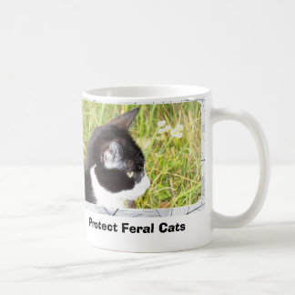 Schützen Sie wilde Katzen Kaffeetasse