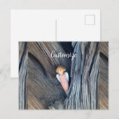 Schutzengel in der Baumkronenbucht Postkarte (Vorne/Hinten)