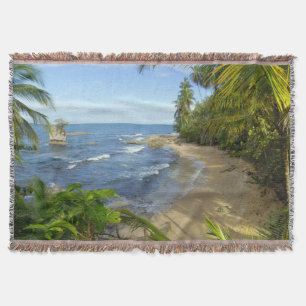 Schutzgebiet Costa Ricas, Manzanillo Decke