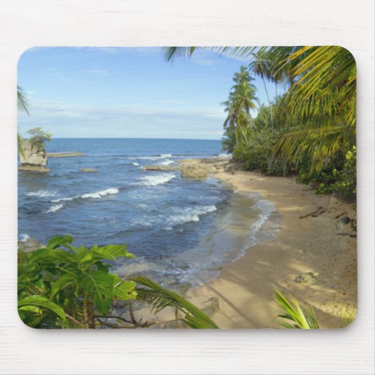 Schutzgebiet Costa Ricas, Manzanillo Mousepad (Vorne)