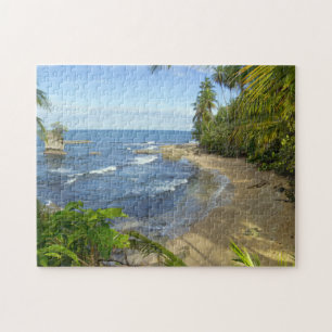 Schutzgebiet Costa Ricas, Manzanillo Puzzle