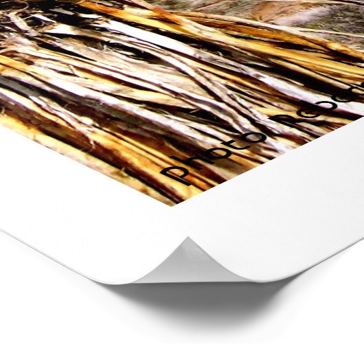 Schutzgebiet für Rock, Las Vegas Poster (Ecke)