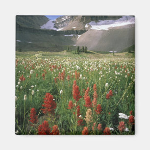 SCHUTZGEBIET MOUNT TIMPANOGOS, UT, US, MAGNET