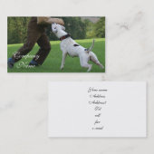 Schutzhund Amerikaner-Bulldogge Visitenkarte (Vorne/Hinten)