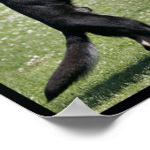 Schutzhund German Shepherd Dog Poster (Ecke)