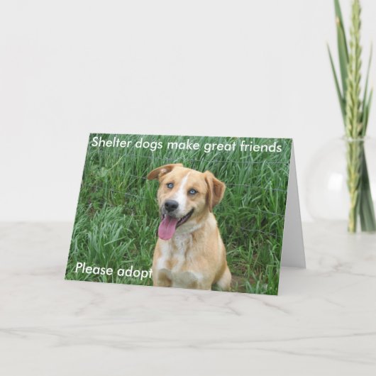 Schutzhunde machen große Freunde 7703 Karte (Vorderseite)