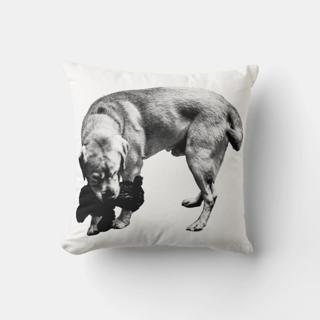 Schutzkurve Kissen (Vorderseite)