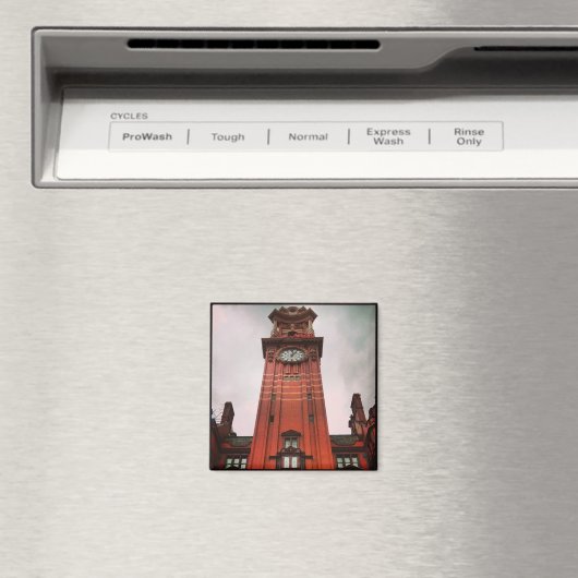 Schutzschalter, Manchester Magnet (In Situ (Geschirrspüler))