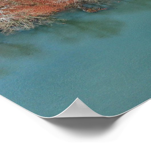 Schuylkill River Fall Trees Print Poster (Ecke)