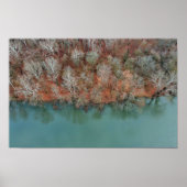 Schuylkill River Fall Trees Print Poster (Vorne)