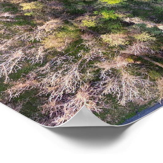 Schuylkill River Trail Oaks PA Poster (Ecke)