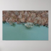 Schuylkill River Trees Sanatoga Poster (Vorne)