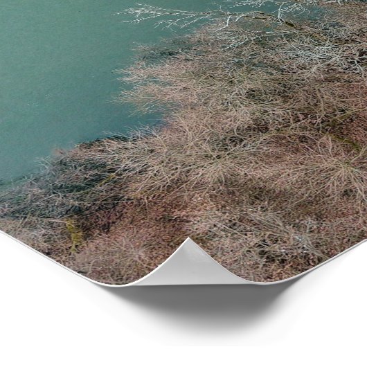 Schuylkill River Trees Sanatoga Poster (Ecke)