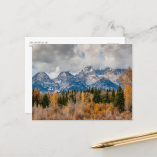 Schwabacher Landing Grand Teton Nationalpark Postkarte