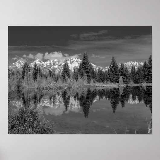 Schwabacher Landing Poster (Vorne)