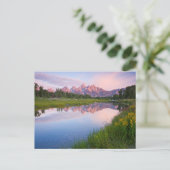 Schwabacher Landing Sunrise Postkarte (Stehend Vorderseite)