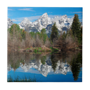 Schwabacher's Landing, Grand Teton Fliese