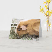 schwach karte (Gelbe Blume)