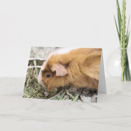 schwach karte (Vorderseite)