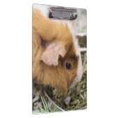 schwach klemmbrett (Rechts)