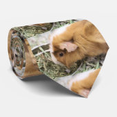 schwach krawatte (Gerollt)