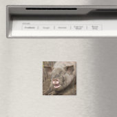 schwach magnet (In Situ (Geschirrspüler))