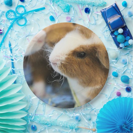 schwach pappteller (Party)