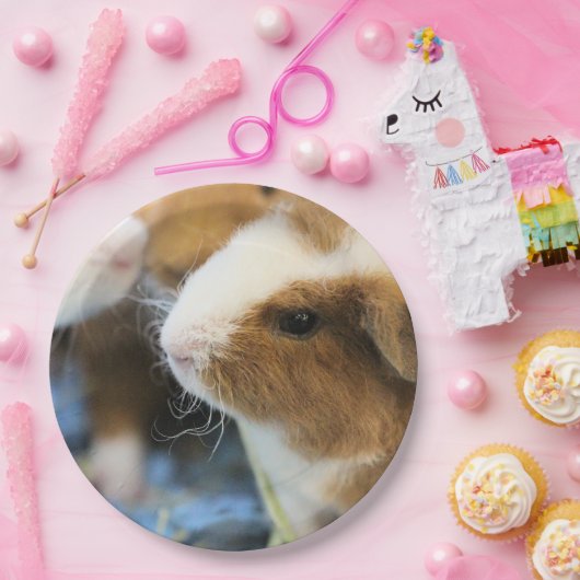 schwach pappteller (Party)