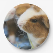 schwach pappteller (Vorderseite)