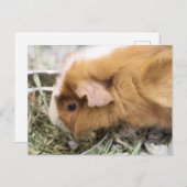 schwach postkarte (Vorne/Hinten)