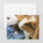 schwach postkarte (Vorne/Hinten)