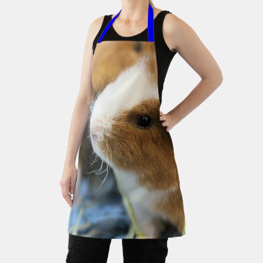 schwach schürze (InSitu)