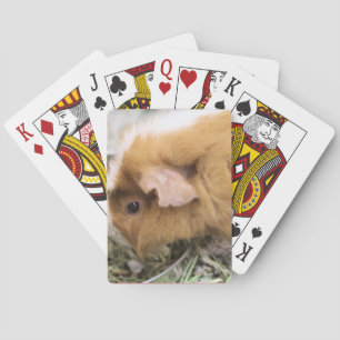 schwach spielkarten
