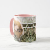 schwach tasse (Vorderseite Links)